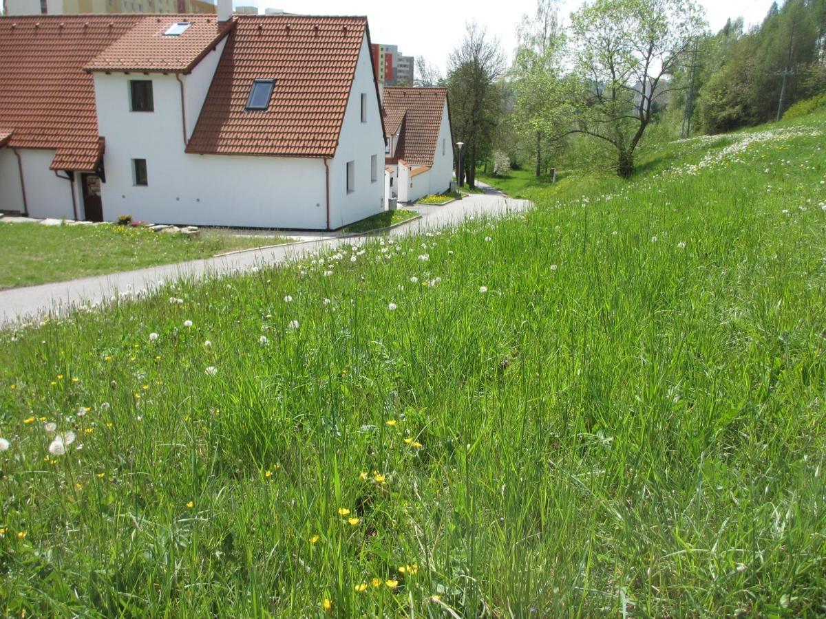 U Prochazku Apartment Cesky Krumlov