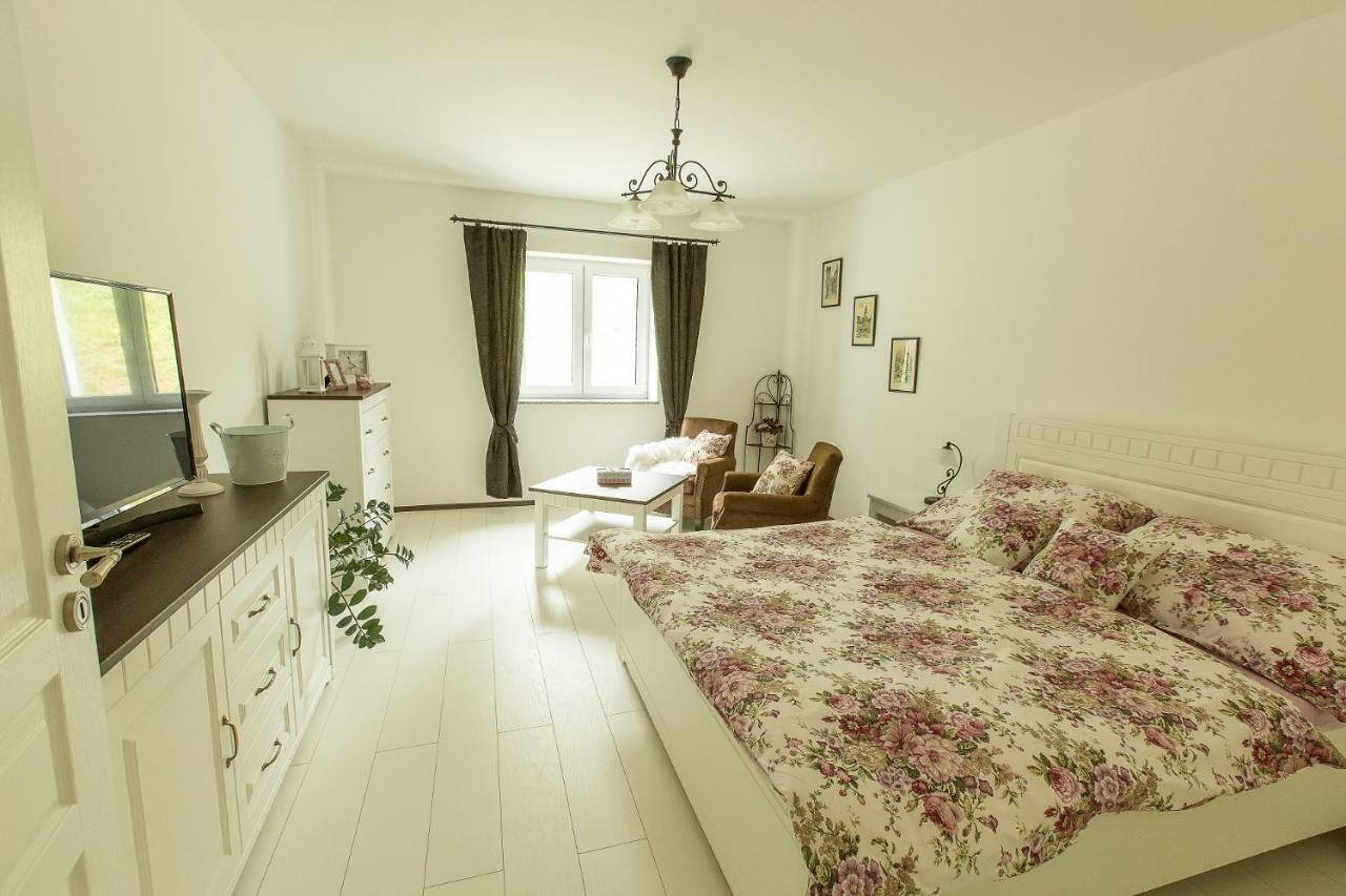 Apartment U Prochazku